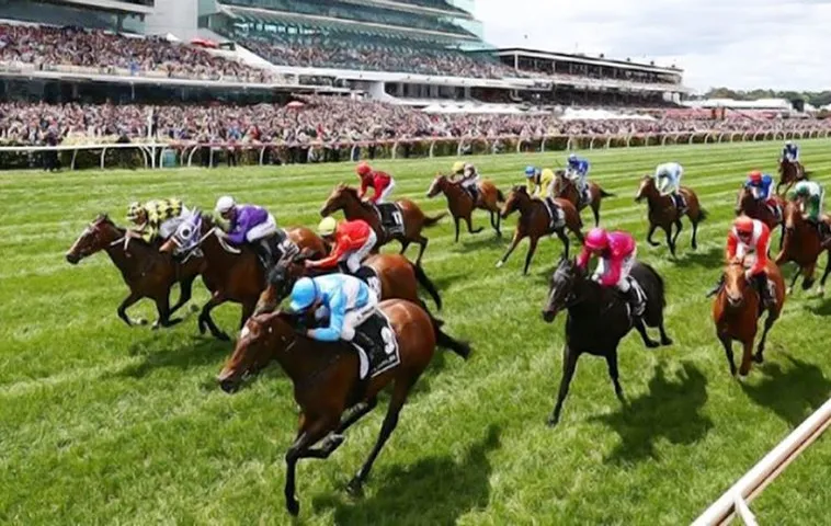 Đua Ngựa W88: Bí Kíp Thắng Lớn Cho Dân Cá Cược Online