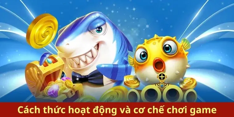 Royal Fishing Tại W88: Bí Kíp Thành Thợ Săn Cá Giỏi Nhất