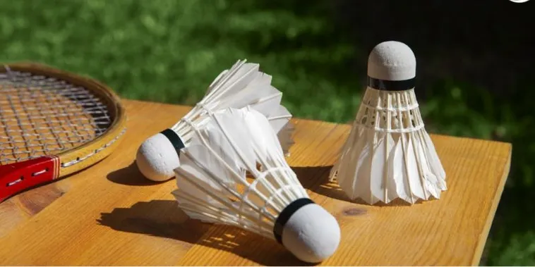 Cá Cược Cầu Lông Tại W88: Bí Kíp Thắng Lớn Cho Người Chơi